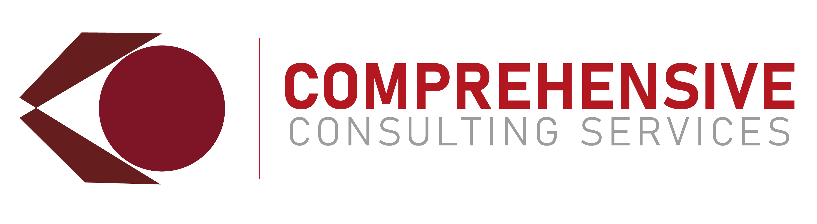Comprehensive Consulting Service Company